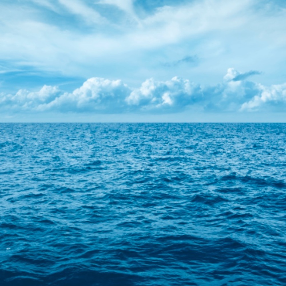 Meet your Posher, Tony